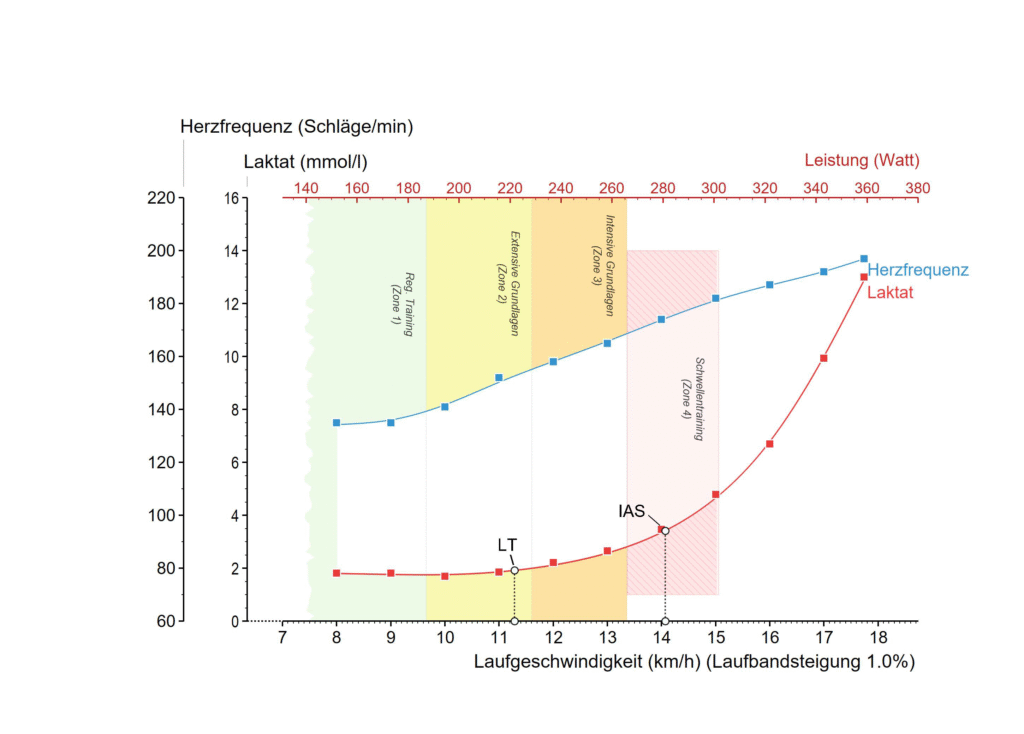 Laktatleistungskurve auf dem Laufband zur Visualisierung von Zone 2